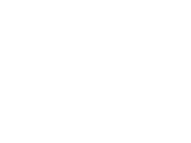 Wacholder Express Logo 800 X600px Wht