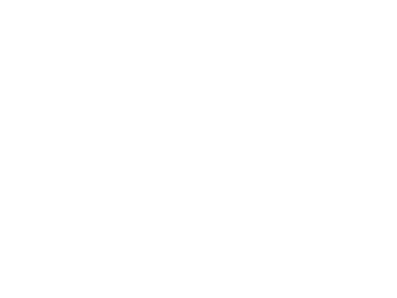 Ostmann Logo 800 X600px Wht