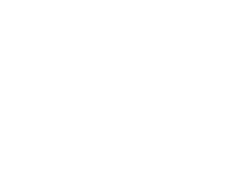 Landmann Logo 800 X600px Wht