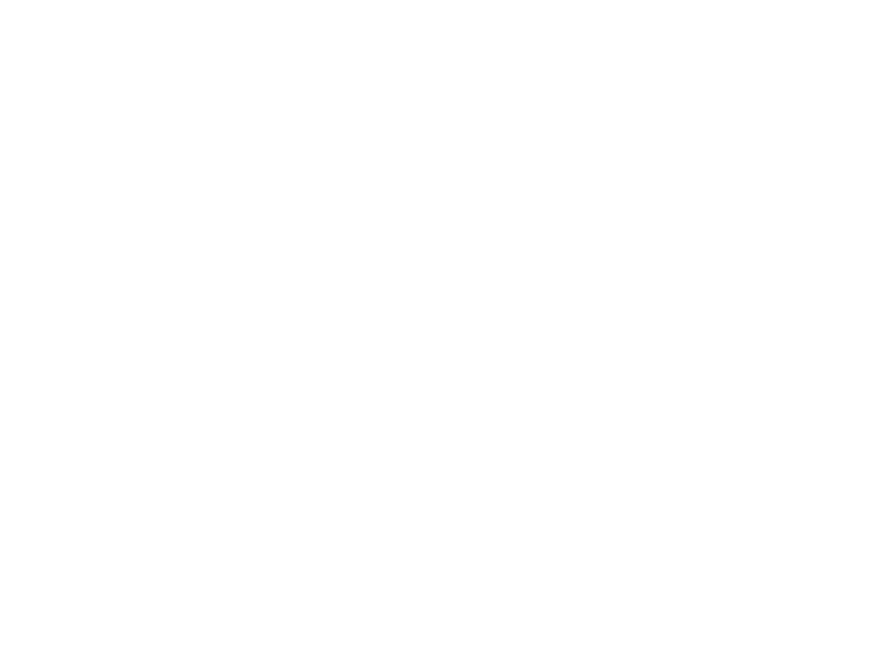 Brauerei Paeffgen Logo 800 X600px Wht