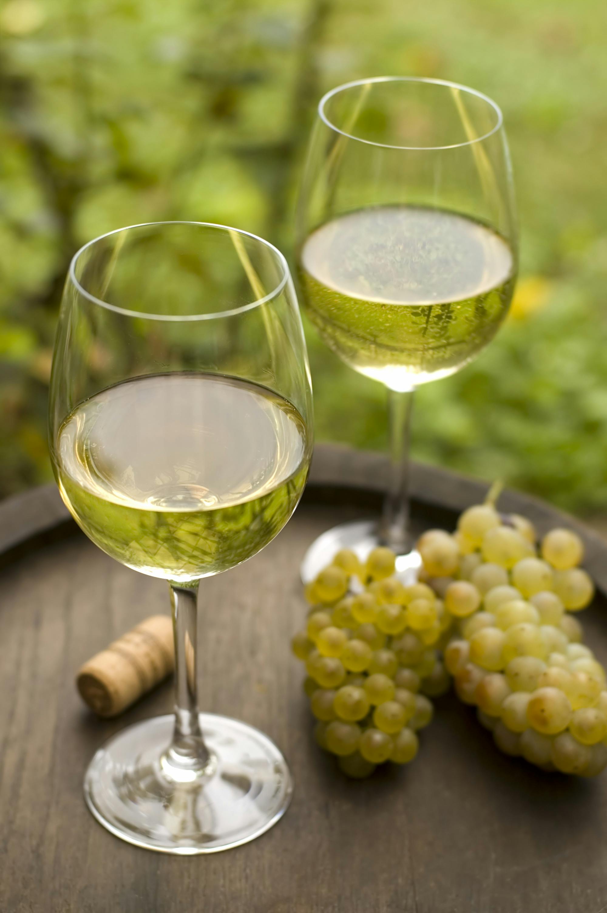 Nahaufnahme zwei Gläser mit Weißwein und weißen Trauben