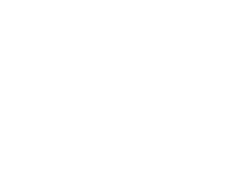 Fever Tree Logo 800 X600px Wht