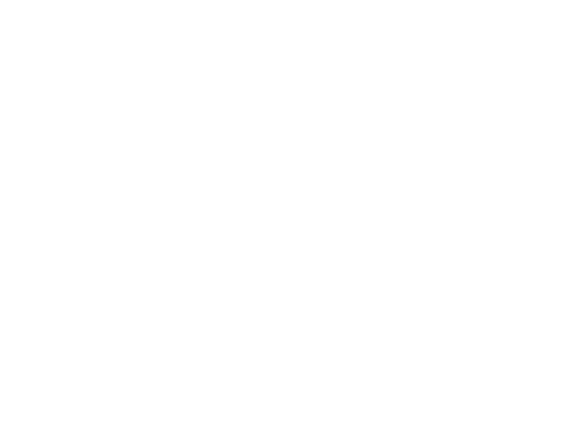The Bastard Logo 800 X600px Wht