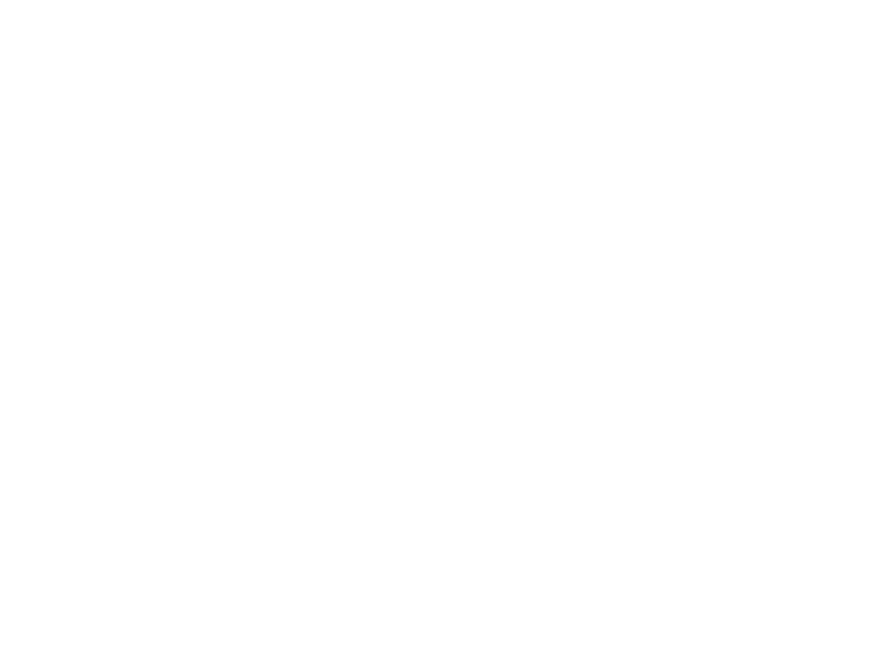 Tante Tomate Logo 800 X600px Wht