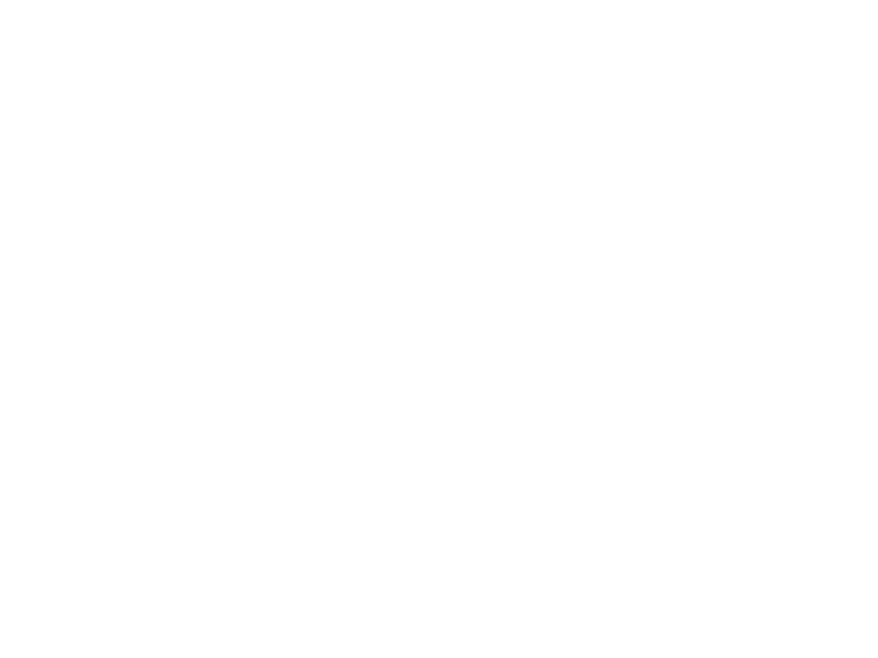 Finne Brauerei Logo 800 X600px Wht