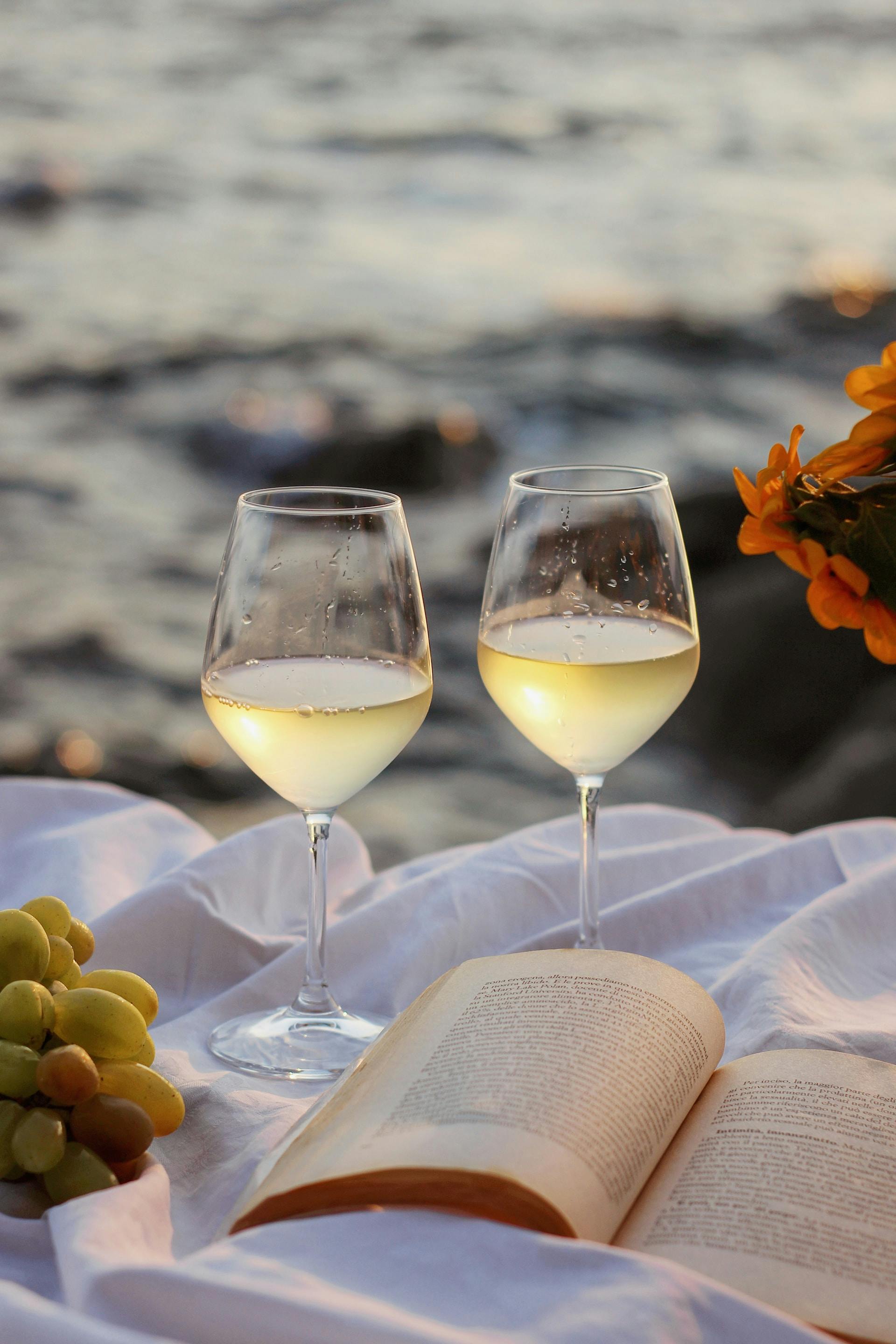 2 Weingläser mit klarer Flüssigkeit auf einer Decke mit einem Buch und Weintrauben