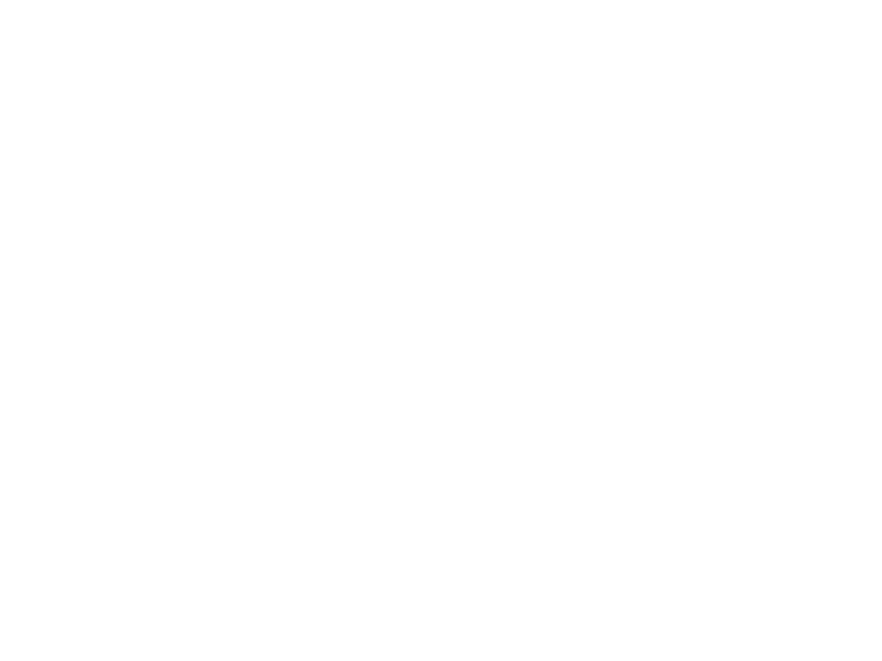 Wmf Logo 800 X600px Wht