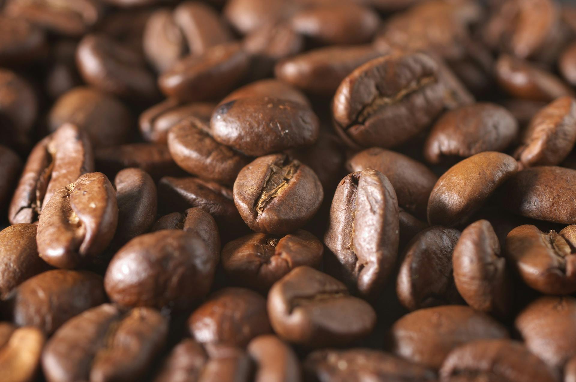 Braune Kaffeebohnen in Nahaufnahme