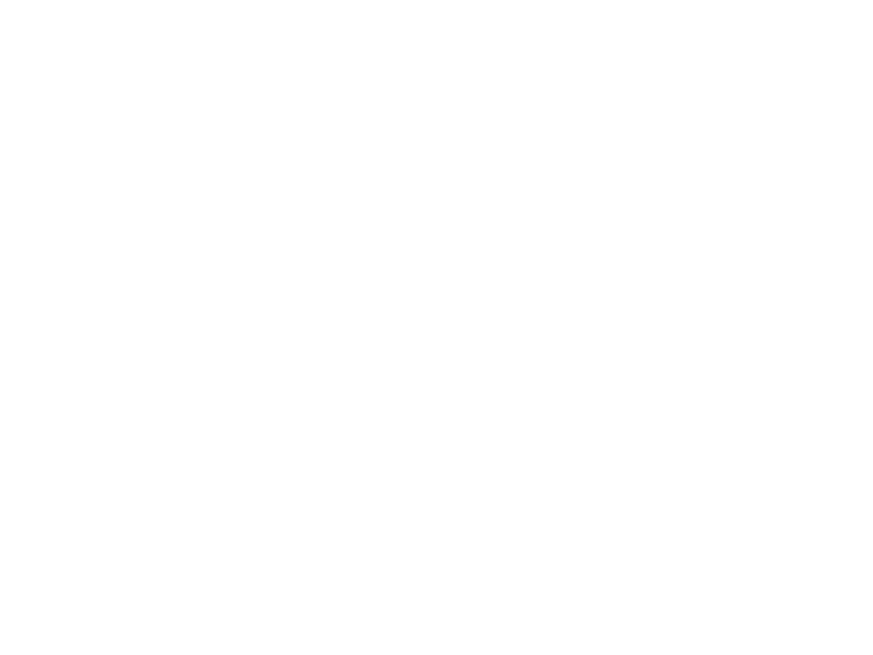 Bull Logo 800 X600px Wht