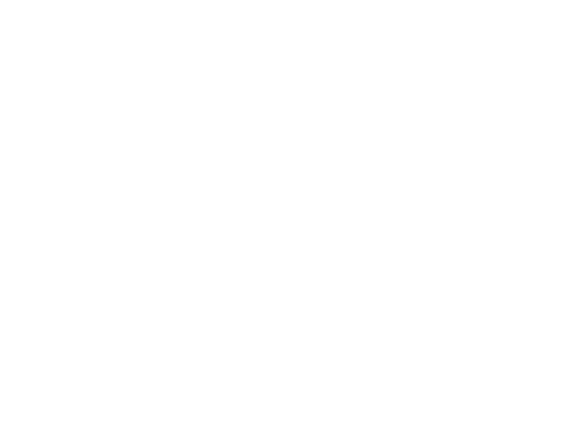 Sonnentor Logo 800 X600px Wht