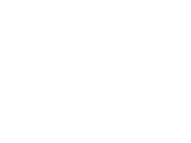 Riedenburger Brauhaus Logo 800 X600px Wht