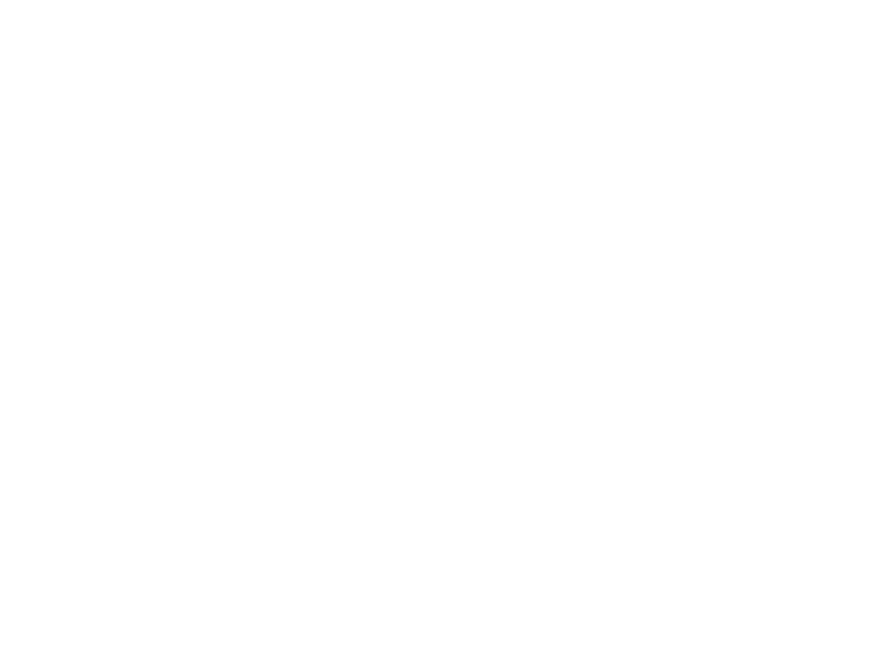 Kamado Joe Logo 800 X600px Wht