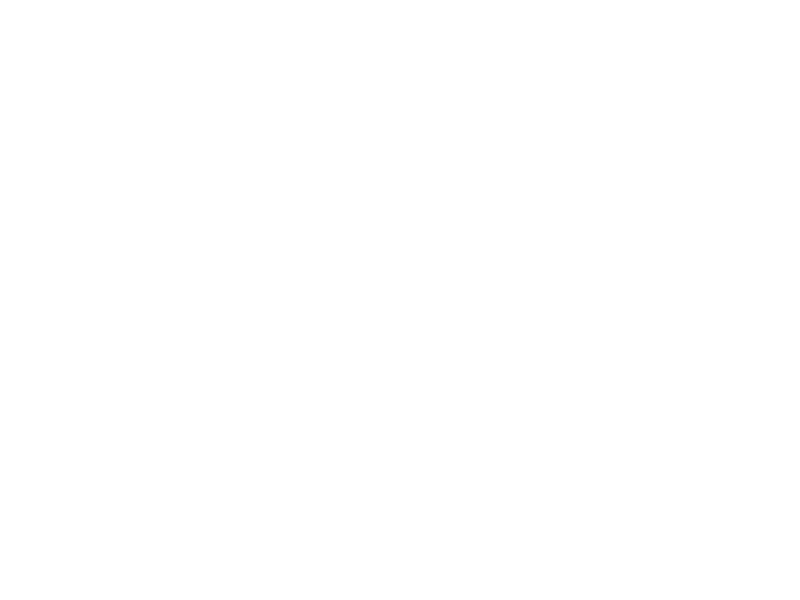 Willi Haag Logo 800 X600px Wht