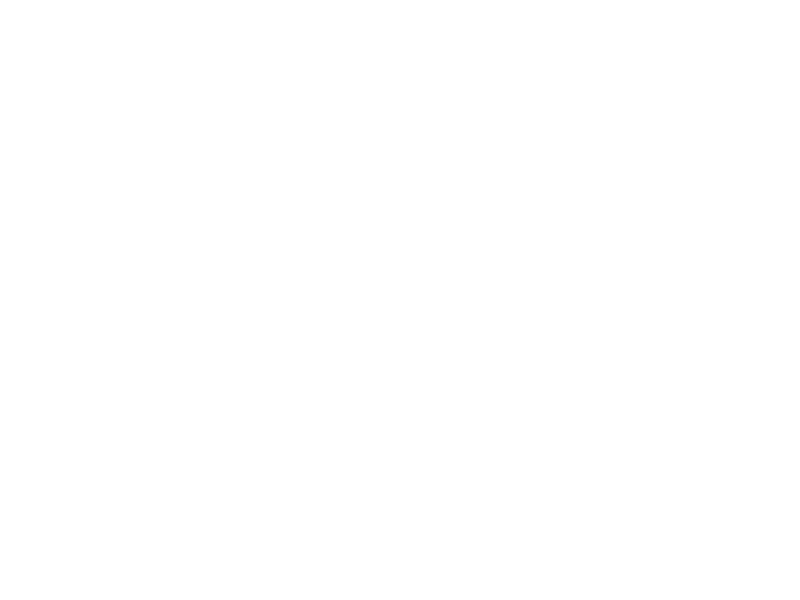 Big Green Egg Logo 800 X600px Wht