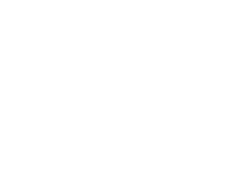 Wolfscraft Logo 800 X600px Wht