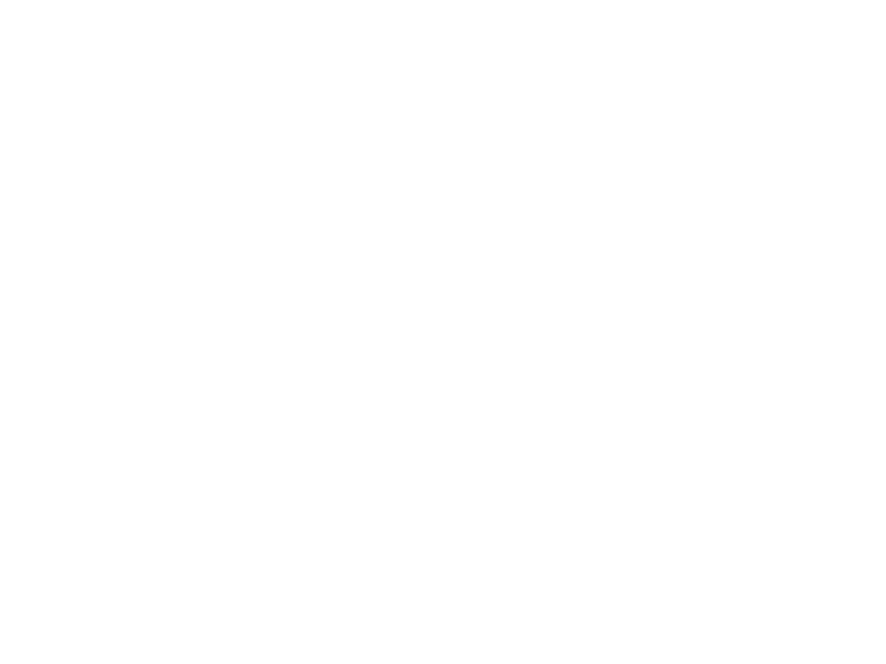 Meateor Logo 800 X600px Wht