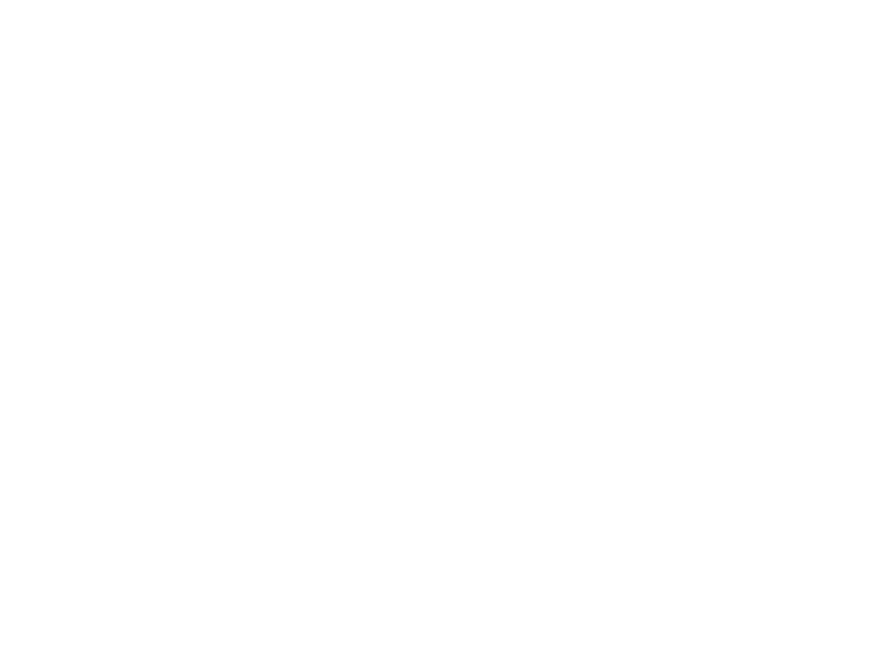 Conde De Mirasol Logo 800 X600px Wht