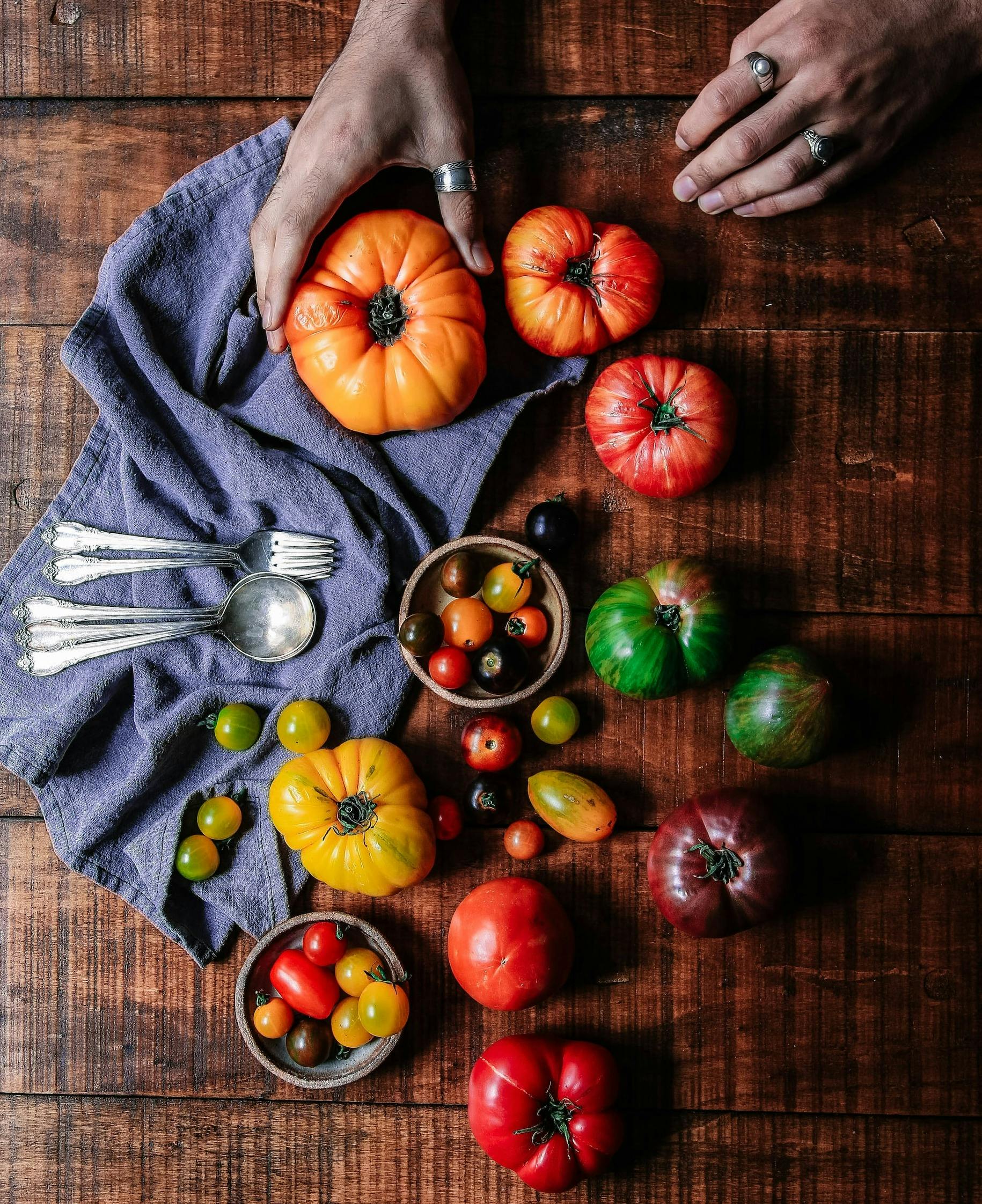 Tomaten Vielfalt Tisch Vogelperspektive