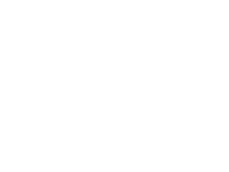 Pitboss Logo 800 X600px Wht