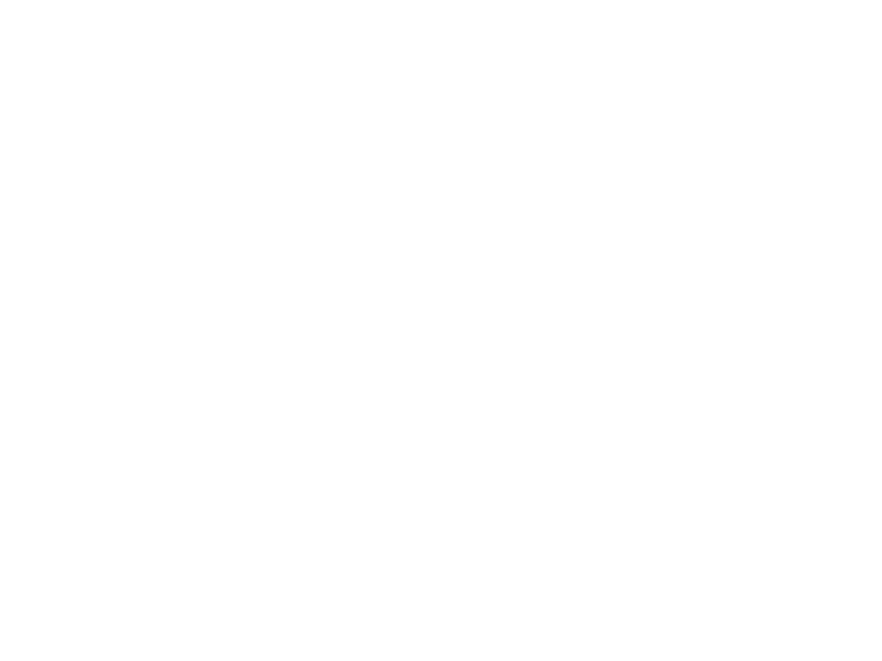 Stay Spiced Logo 800 X600px Wht