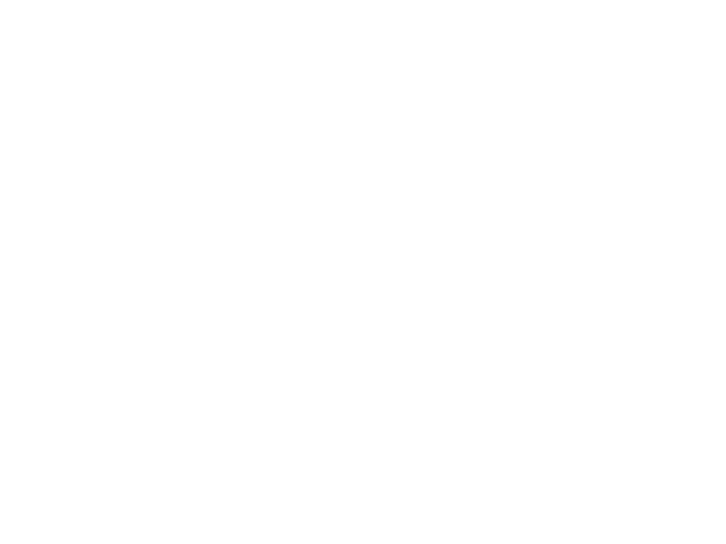 Bio Lotta Logo 800 X600px Wht