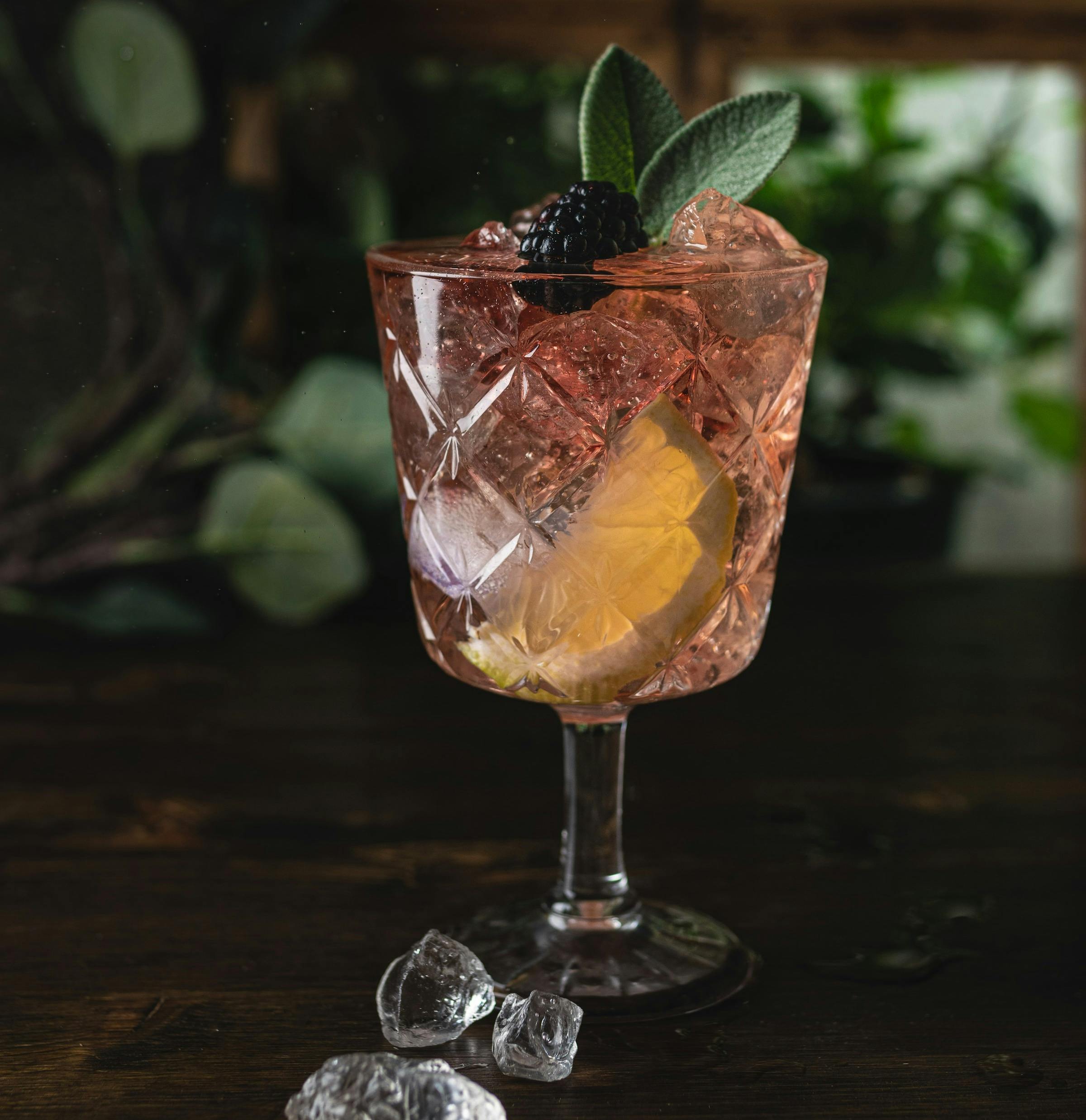 cocktail-crystal-glass-blackberry-plants