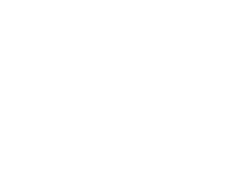 Alpirsbacher Logo 800 X600px Wht