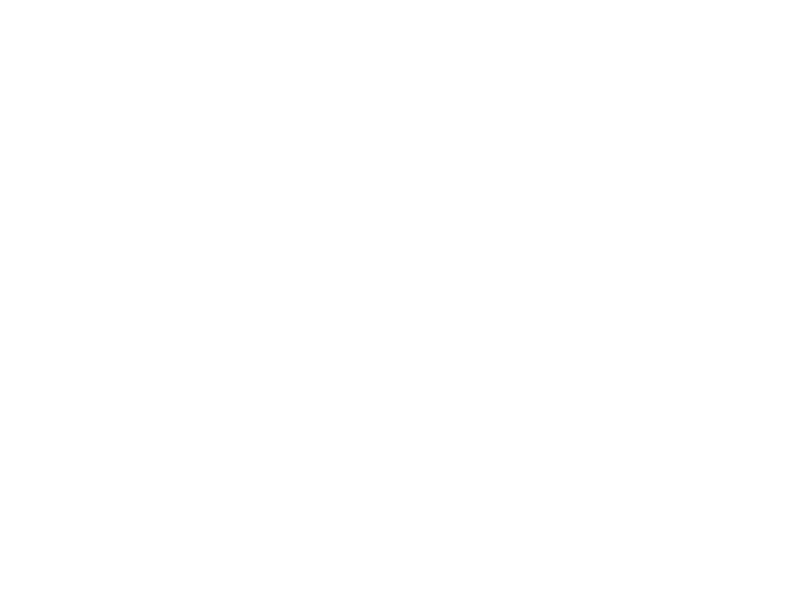 Swiss Mountain Spring Logo 800 X600px Wht