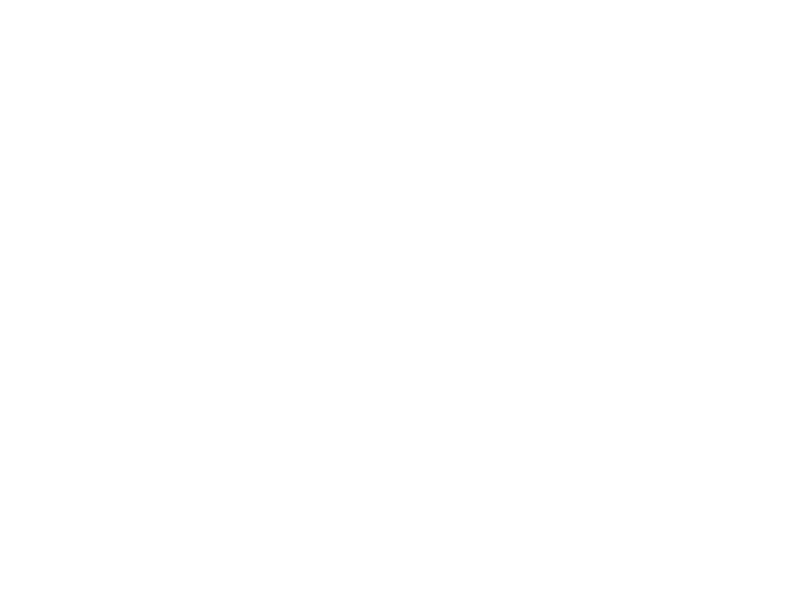 Chateau Cheval Blanc Logo 800 X600px Wht