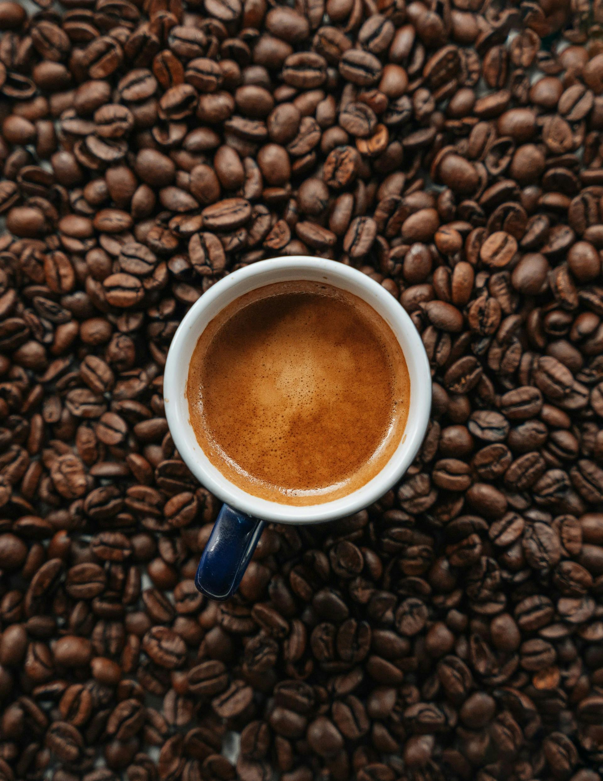 Kleine Tasse mit brauner Flüssigkeit mit Kaffeebohnen im Hintergrund