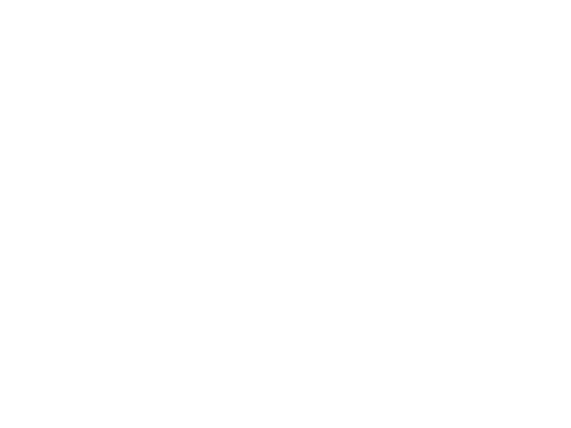 Broilking Logo 800 X600px Wht