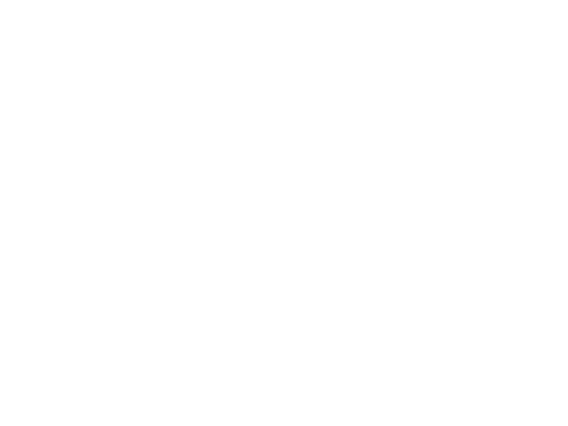Dinzler Kaffeeroesterei Logo 800 X600px Wht