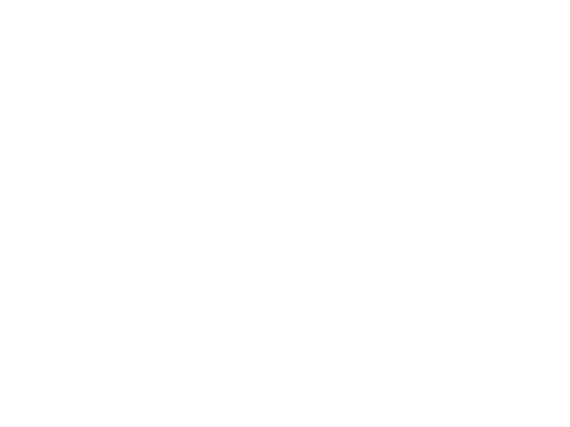 Rimoco Logo 800 X600px Wht