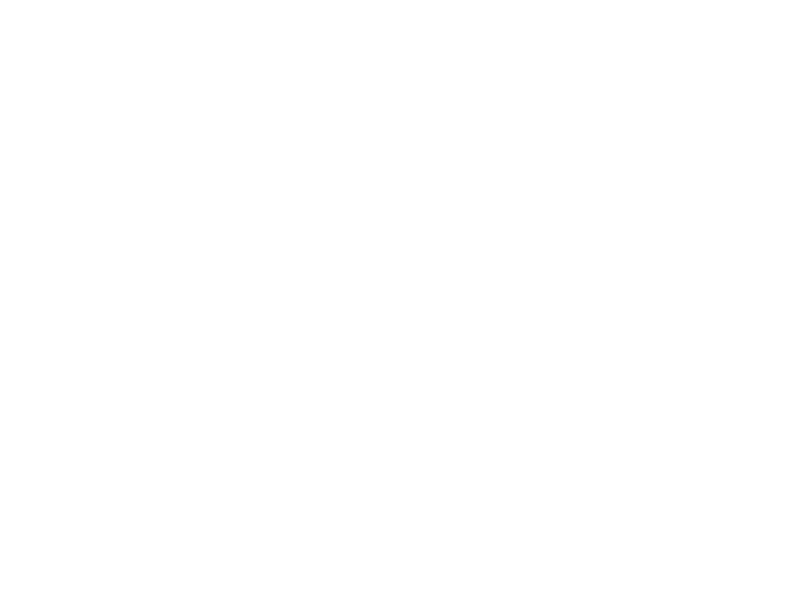 Floetzinger Logo 800 X600px Wht
