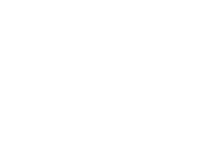 Winzer Lindhardt Logo 800 X600px Wht