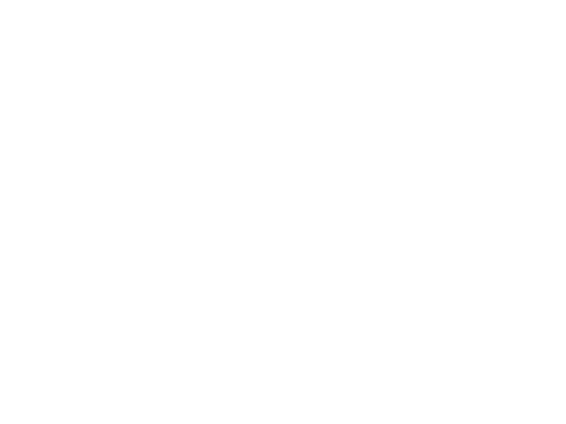 Strassenbraeu Logo 800 X600px Wht