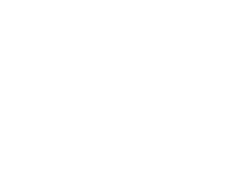 Zwilling Logo 800 X600px Wht