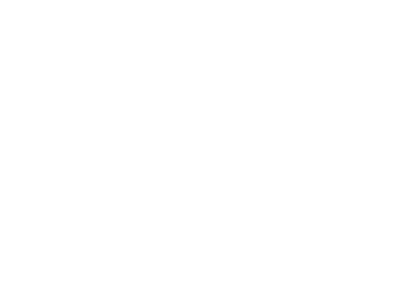 Otto Wilde Logo 800 X600px Wht