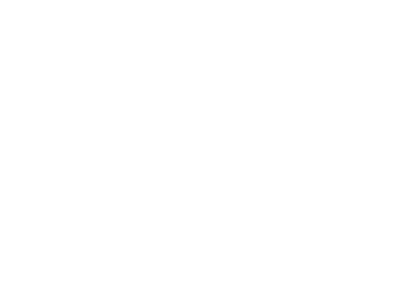 Pfeffersack Und Soehne Logo 800 X600px Wht