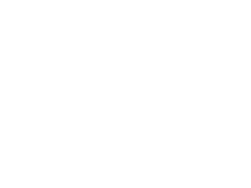 Traeger Logo 800 X600px Wht