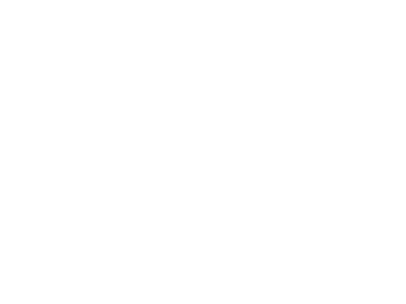 Guede Solingen Logo 800 X600px Wht
