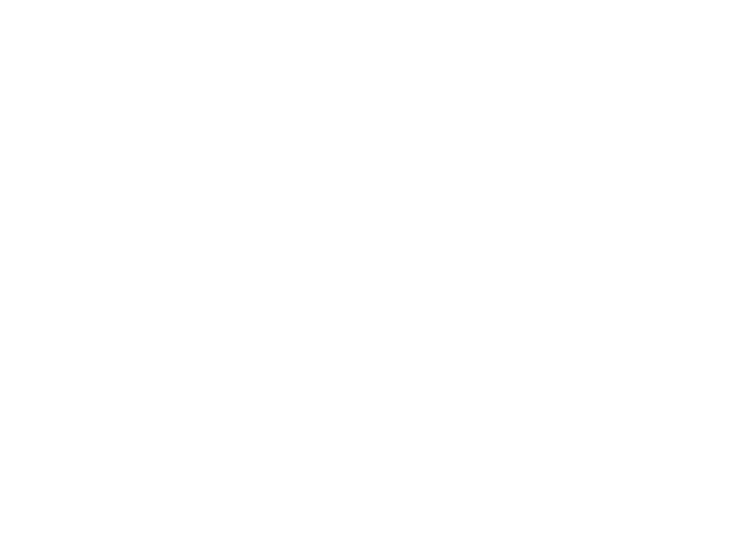 Anima Negra Logo 800 X600px Wht