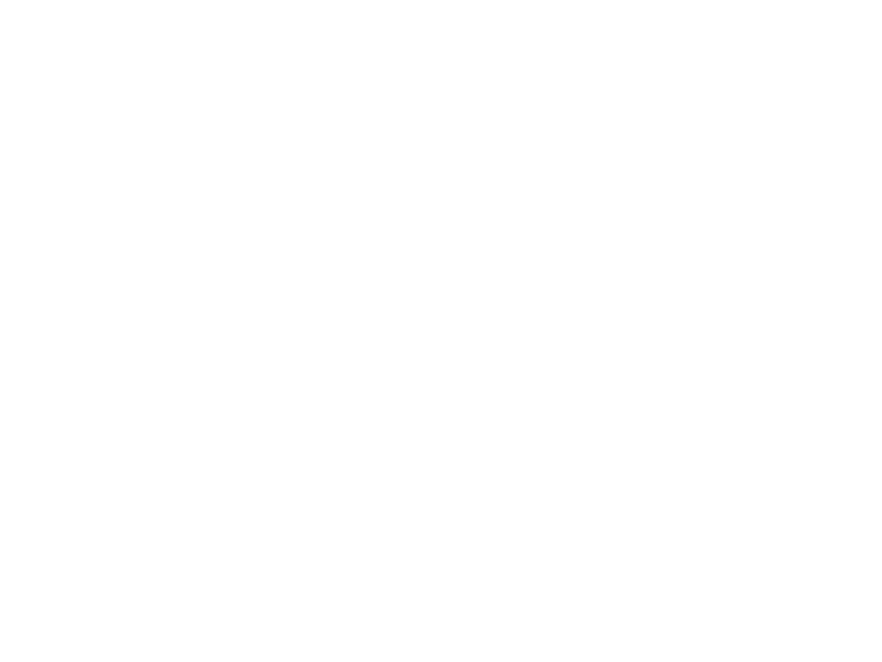 Wildwuchs Logo 800 X600px Wht