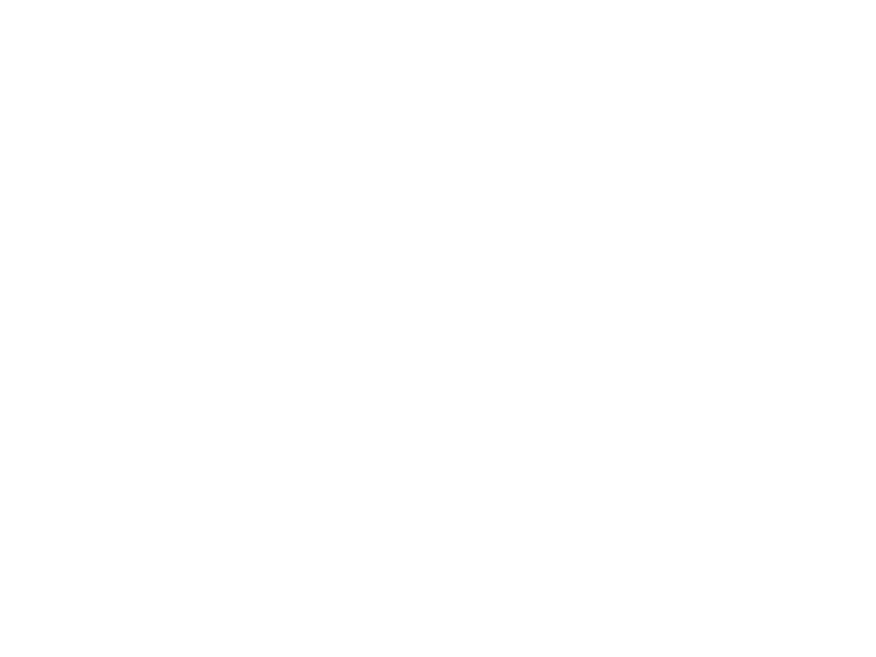 Krautpunk Logo 800 X600px Wht