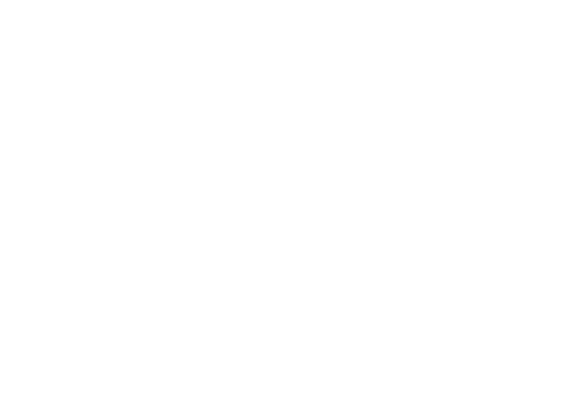 Wilde Grillerei Logo 800 X600px Wht