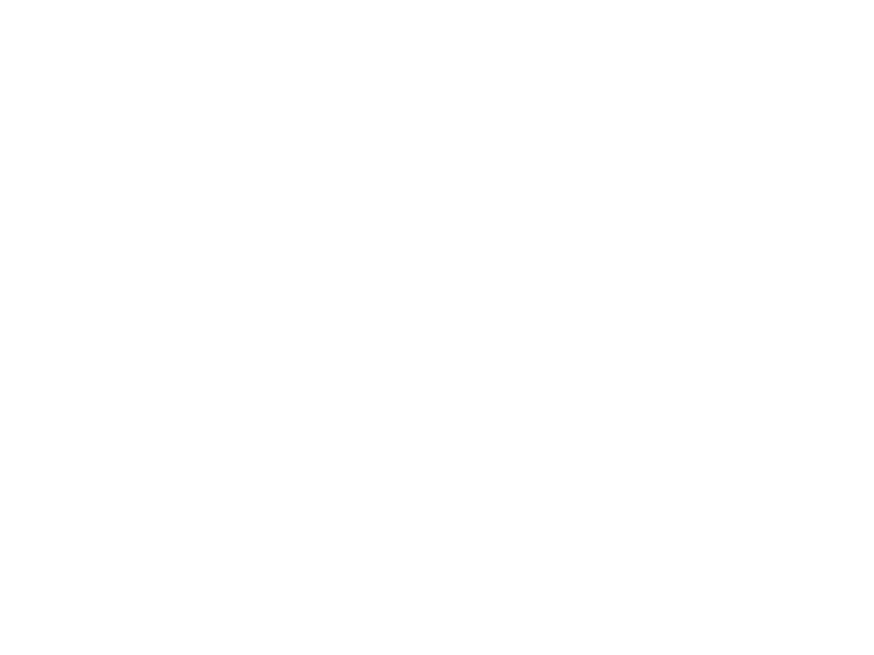 Brauerei Diebels Logo 800 X600px Wht