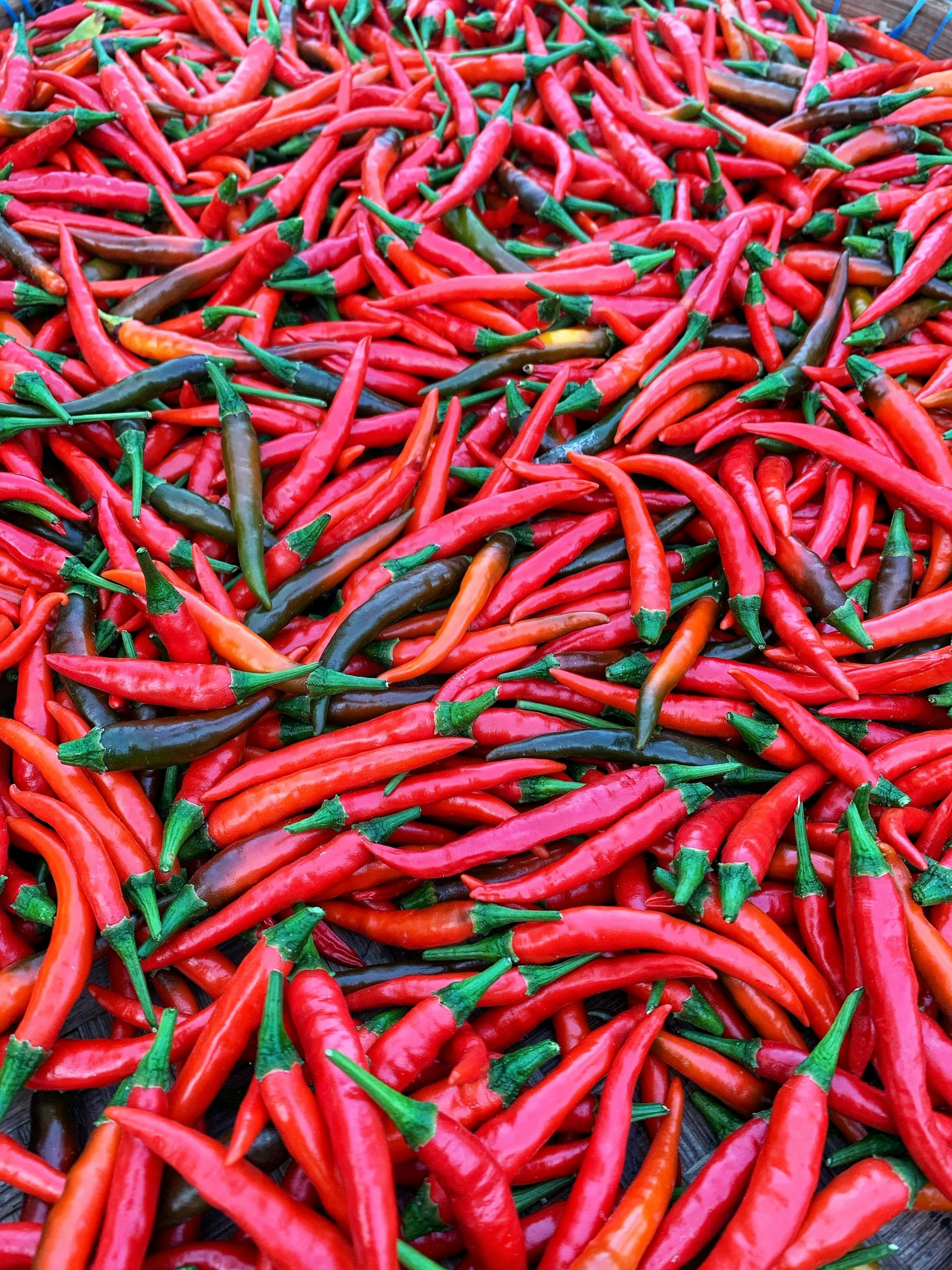 Viele Rote Chilis Auf Einem Haufen