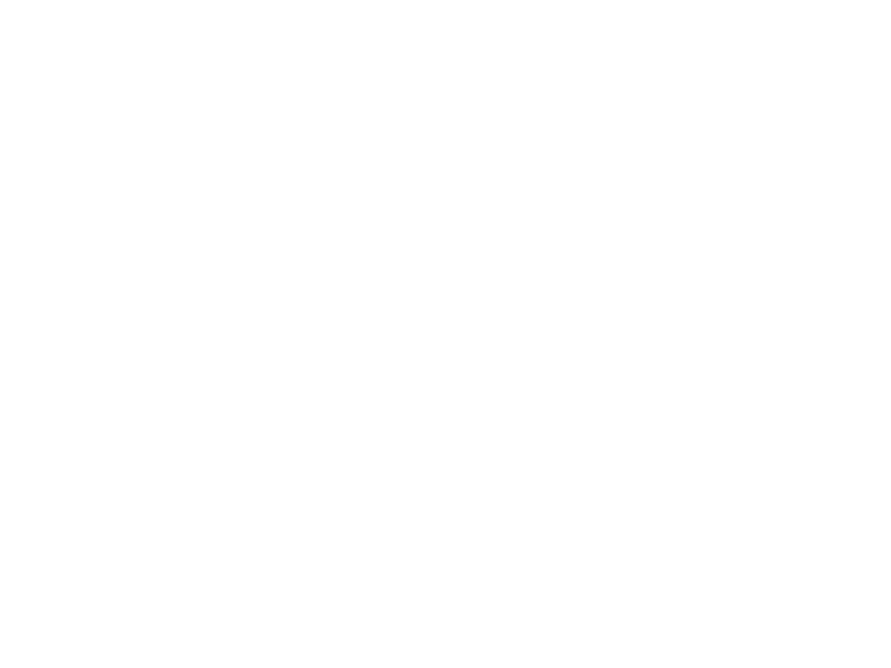 Ritter Bier St Georgen Logo 800 X600px Wht
