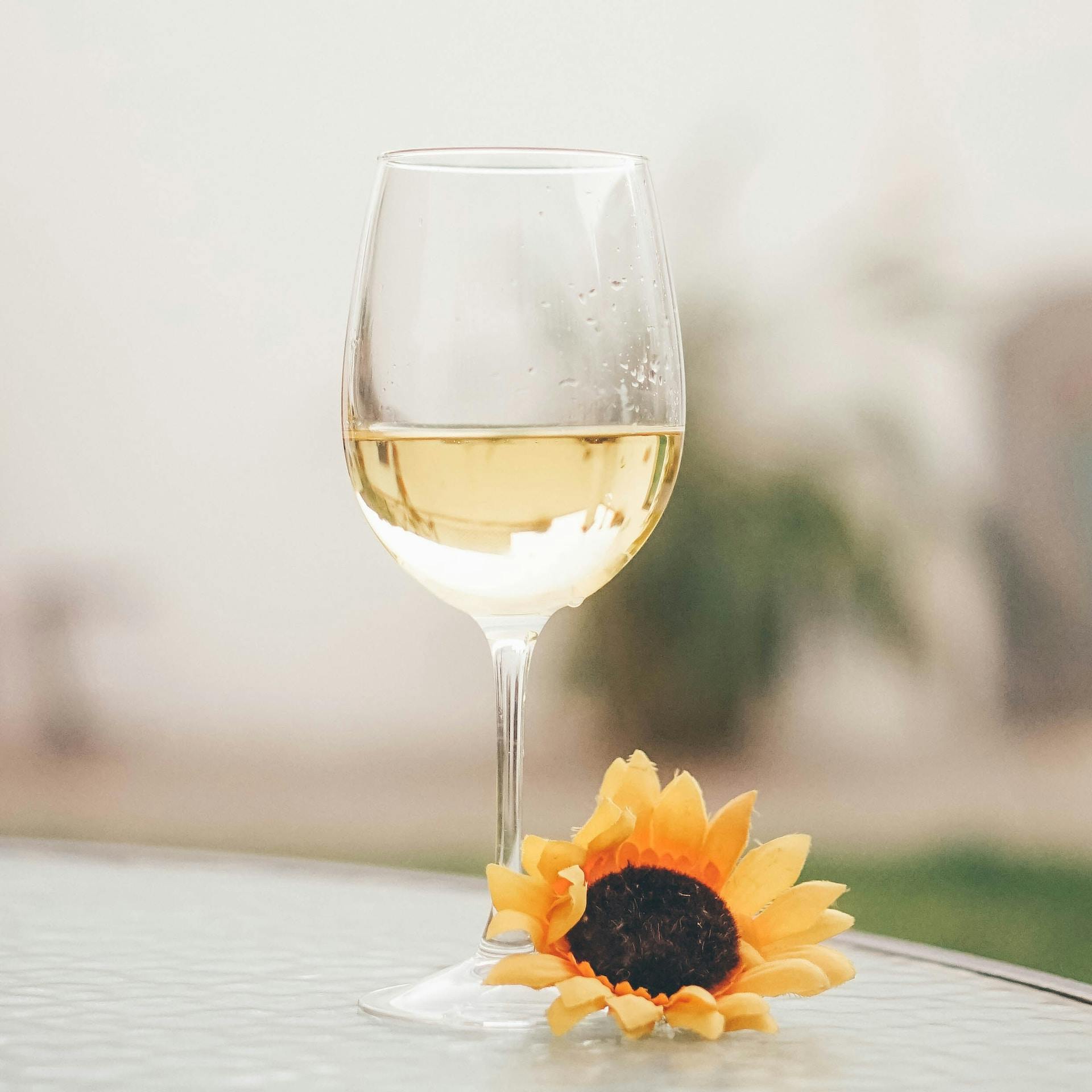 Weinglas mit heller Flüssigkeit drinnen und Sonnenblumenblüte dafür