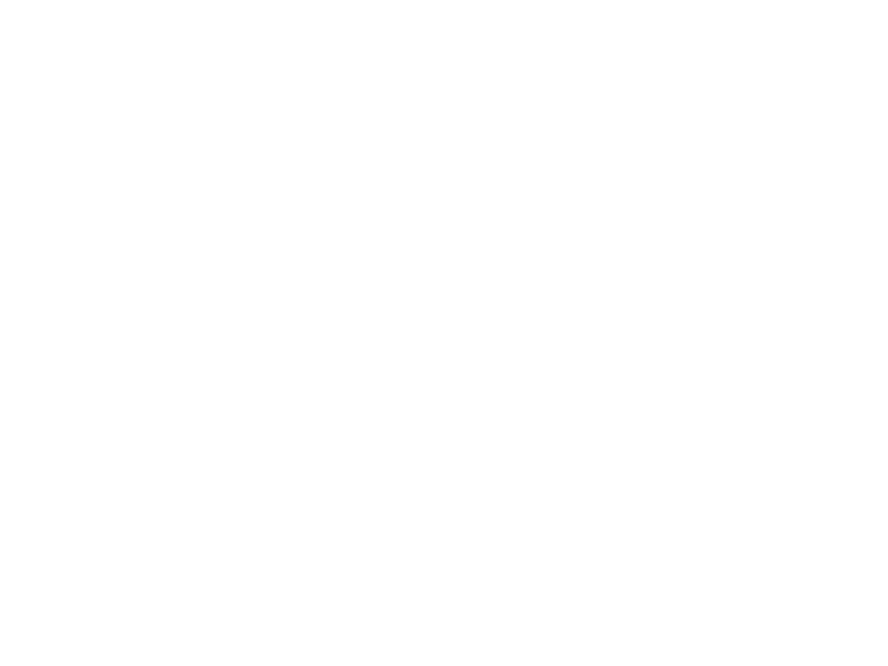 Napoleon Grills Logo 800 X600px Wht